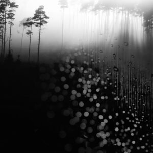 Jan 5th - Mono Vision: Creative Challenge Level 5