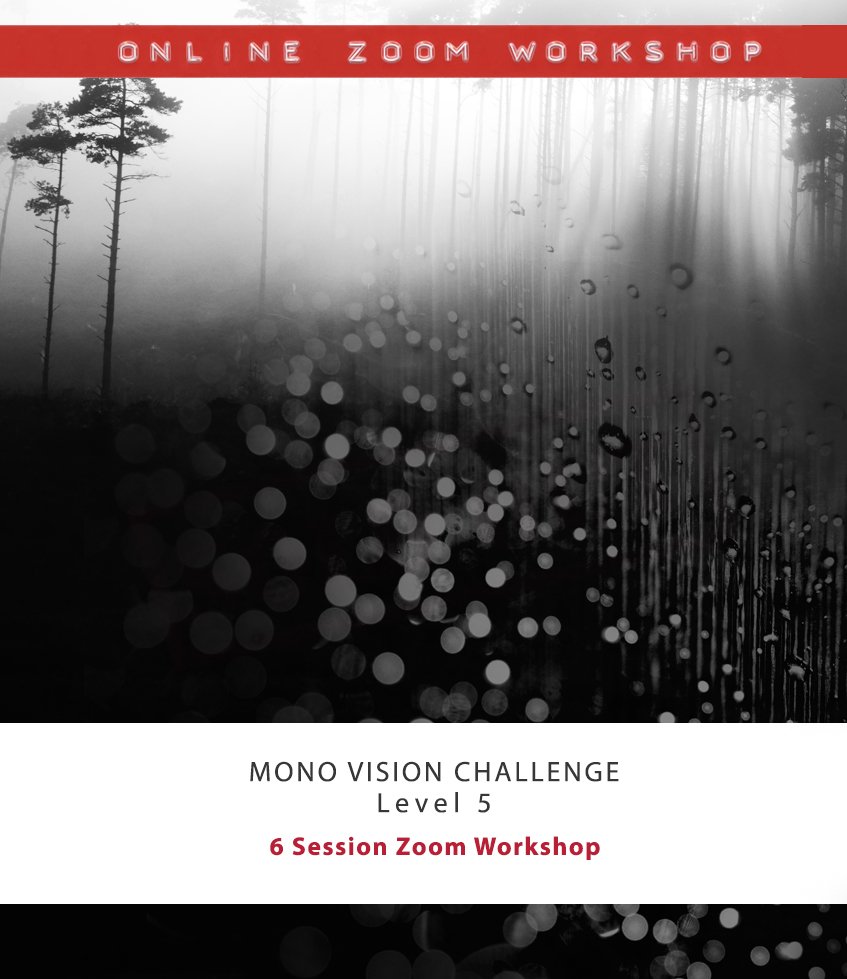 Jan 5th 2027 - Mono Vision: Creative Challenge Level 5
